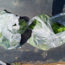 태농농장 이미지