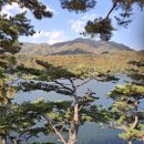 가을 하늘 소나무 이미지