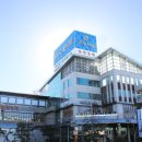 국제식품정육