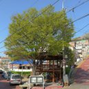 수봉놀이동산 이미지