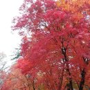 의료법인 효양의료재단(허가취소_2020. 3. 4.) | 특정경제범죄가중처벌등에관한법률위반(사기)⋅사기⋅의료법위반⋅국민건강보험법위반⋅사기방조⋅의료법위반...