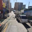 강놀애견유치원 이미지