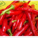 빨간고추 이미지