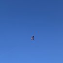 대릉원스테이 이미지