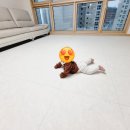 주)이롬 대연지사 | 부산 층간소음매트 대연롯데캐슬 애플매트 시공했습니다.(화이트마블)