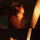 성산복싱체육관 이미지