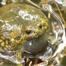 와이랜드 이미지