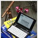 영보전자 이미지