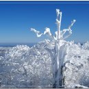 양재역 11번출구 옆 이미지