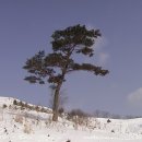 하궁목장 이미지