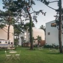 하도기록 이미지