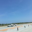 영덕고래불국민야영장 이미지