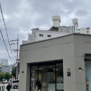마네르(manere) | 서초역미용실 마네르 엘리자벳펌 + 모발클리닉 + 여성커트 후기
