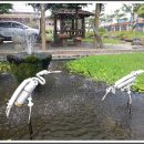 작천면사무소 이미지