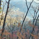 장암고가 이미지