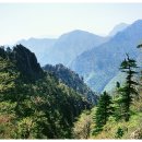 청산 Daum카페