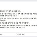 여명네트워크 이미지