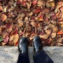 옥천1리 이미지