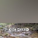 인제소재골야영장 네이버블로그