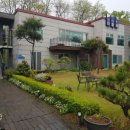 고려인삼영농조합쎈타27호 네이버블로그