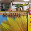 신장금옥 이미지