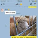 넘버원양꼬치 - 용산구 대사관로 76 | 넘버원양꼬치