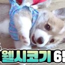 계정농장 네이버블로그