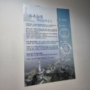 담다 | 강원도 속초 영금정뷰 오션뷰 속초등대 근처 카페 바다담다 내돈내산 후기