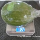 대붕농장 티스토리