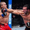 루머 : UFC314 마이클 챈들러 파이트머니는 120만불 이미지
