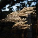 방태산솔마루 이미지