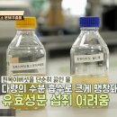 ​흰목이버섯 효소 분해 추출물 효능 부작용 차이점 치매 예방 이미지