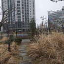 본오1차믿음공인중개사사무소 | 복대동부동산 청주시 복대동 부동산 탐방기