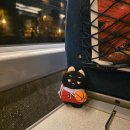 소반 53 | 일본 장기 여행 ✨ㅡ도쿄①(김해공항, 진에어, 나리타공항에서 도쿄역, 1500엔 버스, 도큐스테이...