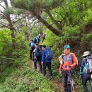 창원 가을포 봉수대 | 낙남정맥 10구간 여항산(770.5) 190622
