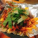더술집 Daum카페