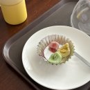 정신요양시설 은혜원 | 성남 라크렘 산후조리원 3박 4일 후기 (어디 공기 좋은 곳으로 요양 온 느낌..)