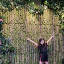 마루네 고양이미용실 이미지