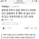 중학생 추락사 당일 새벽 2시 아파트 인근 공원에서 옷 뺏은 뒤 숨진 친구 옷 입고 포토라인에 선 간큰 10대 이미지