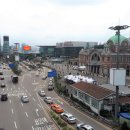 별과 소나무 이미지