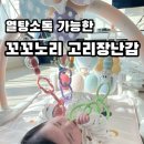 고리 | 꼬꼬노리 고리장난감 후기ㅣ열탕소독, 국산