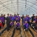 주민농장 이미지