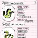 올해 띠별 기운 좋은 국내 여행지 추천. 이미지