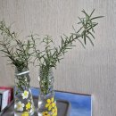 차박사카클리닉 이미지