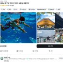 마이가이드 이미지
