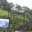 광성장여관 Daum카페