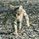 존재의 사랑 이미지