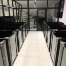 월 스트리트 애견유치원 이미지