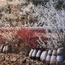 안동문화예술의 전당 백조홀 | 제37회 안동예술제 한국사진작가협회 회원사진전 안동문화예술의전당