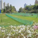 밀양파크골프장 | 밀양 무안파크골프장 후기 &amp; 실전 팁 (무안면 신법리 265) 안내